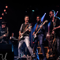 Bruce-Springsteen-Tribute-boeken