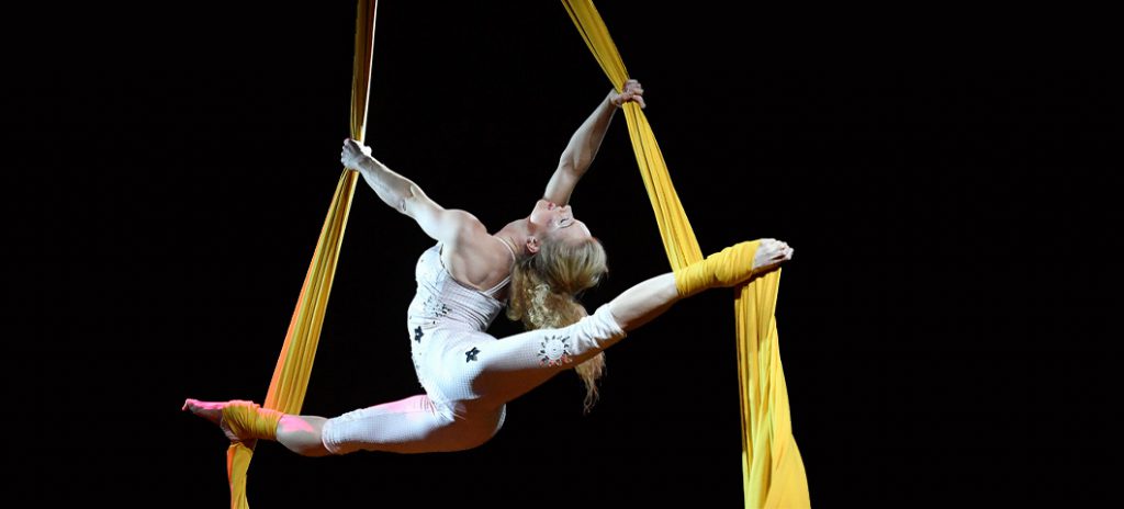 Aerial-Silks