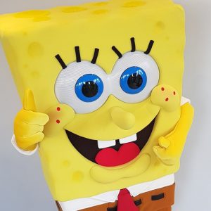 spongebob boeken