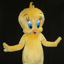 tweety boeken