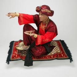 aladdin kindershow boeken