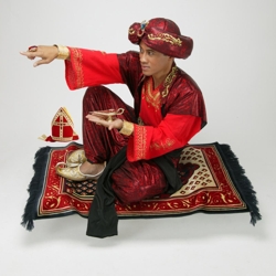 aladdin en de verdwenen mijter sinterklaasshow boeken