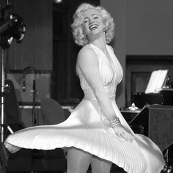 marilyn monroe look a like boeken