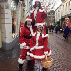 het te gekke kerst team boeken