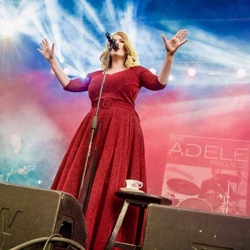 the adele project boeken