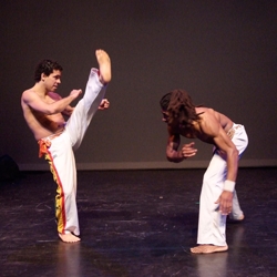 capoeira braziliaanse vechtdans boeken