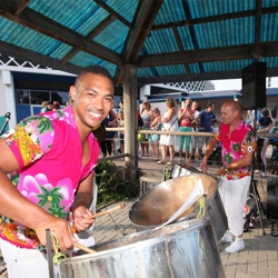 steelband boeken