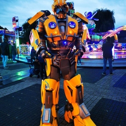 transformer bumblebee boeken