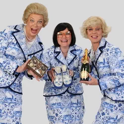 delfts blauwe hostesses boeken